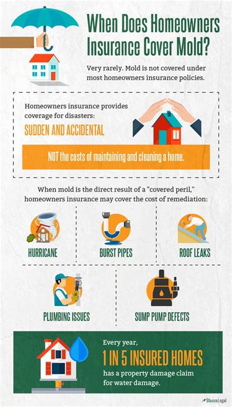 Does homeowners insurance cover plumbing issues? When does homeowner's insurance cover mold? (Infographic)