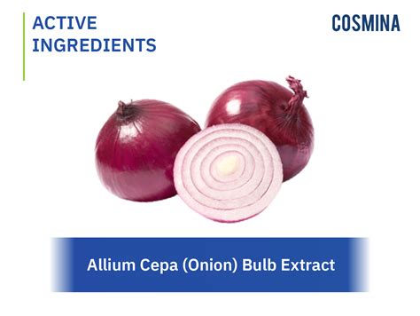 Allium Cepa Onion Bulb Extract Cosmina