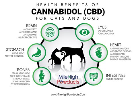 Cbd oil for pain relief and inflammation. Benefits of CBD for Cats and Dogs: Strong & Healthy Pets
