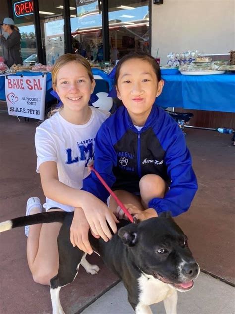 Klik hier om pet rescue te spelen. Landrum Cheer hosts Pom-poms 4 PAWS Bake Sale to benefit ...