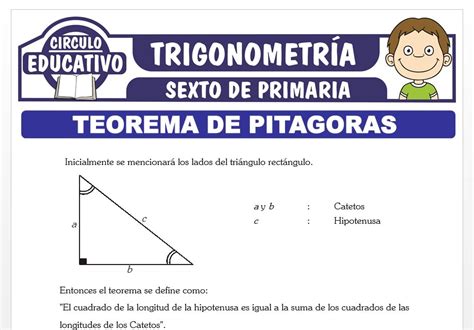 Ficha Interactiva De Teorema De Pitagoras Para Septimo Interactive