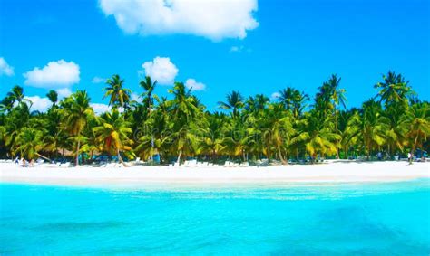 Tropical Beach In Caribbean Sea Saona Island Dominican Republic Stock