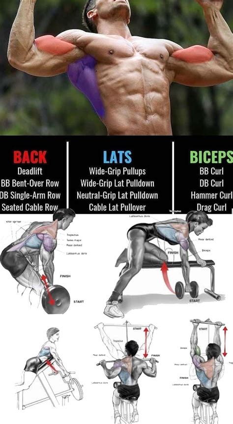 Simple Lower Back Workouts With Weights For Build Muscle Fitness And Workout Abs Tutorial