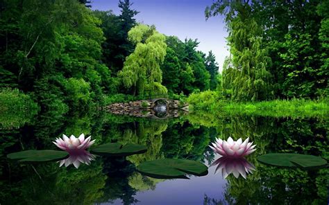 Hintergrundbilder Wasserlilien Wasser Blätter Teich Brücke Bäume