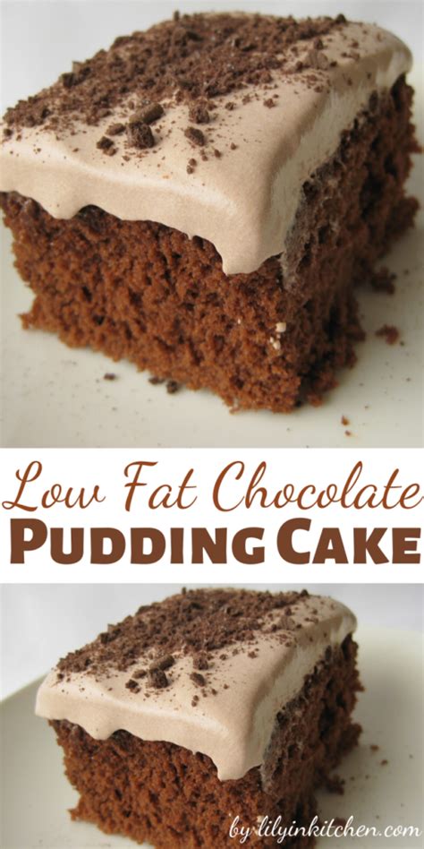 Check spelling or type a new query. Low Fat Chocolate Pudding Cake - Recipes