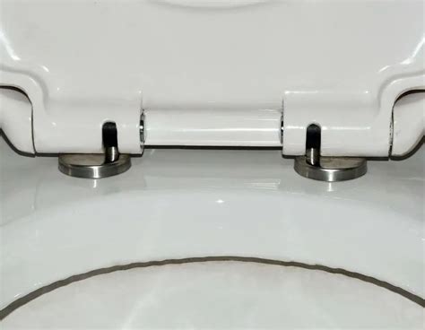 Heavy Duty Spring Hinges For Toilet Seat Cover Ebo 012 Buy Soft Close