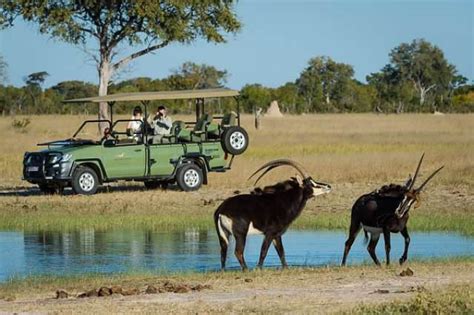 8 Days And 7 Nights Hwange Np Victoria Falls Chobe Np And The Okavango Delta For 2023 And 2024