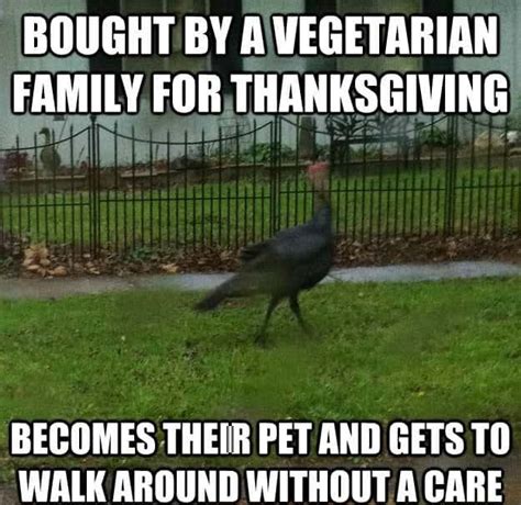 We did not find results for: hilarious thanksgiving turkey memes | Happy thanksgiving ...