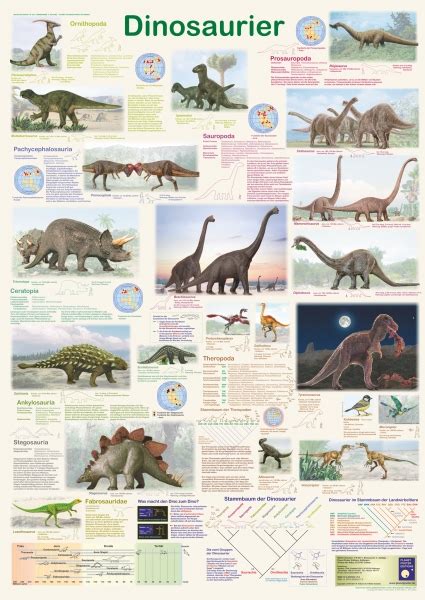 Sachposter Poster Dinosaurier
