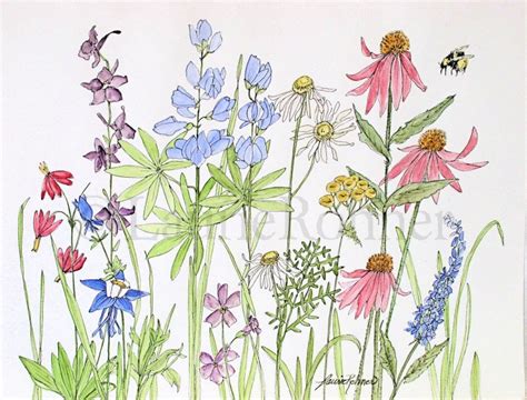 Check spelling or type a new query. Watercolor Garden Flowers Wildflowers Garden Nature ...