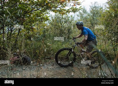 Mountain biker riding in the woods trail riding in Italy biking through