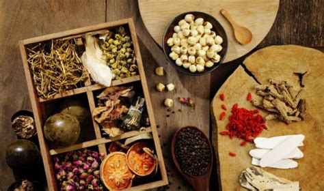 The field of traditional medicine, although relying on older ways to treay illnesses and diseases, is constantly finding new ways to utilise herbs and fruits and berries in it's medicinal march. Traditional Chinese Medicines Often Contaminated With ...