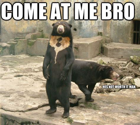 Come At Me Bro Hes Not Worth It Man Sun Bear At Me Bro