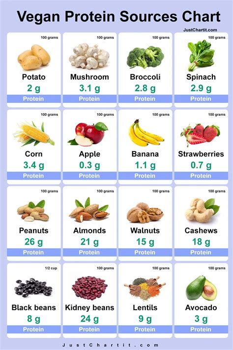 Protein Grams Food Chart Printable
