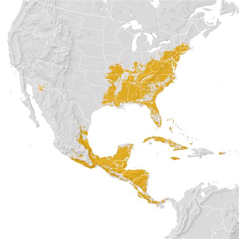 Worm Eating Warbler Range Map Post Breeding Migration Ebird Status