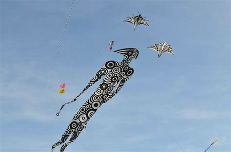 International Kite Festival, Dieppe, France, Cerfsvolants  Kite, France