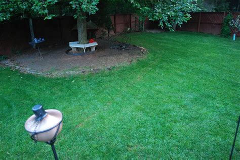 I know that i've gone over quite a bit about centipede grass, but i just want to make sure that you know what you're. Should grass be watered during the day when sunny ...