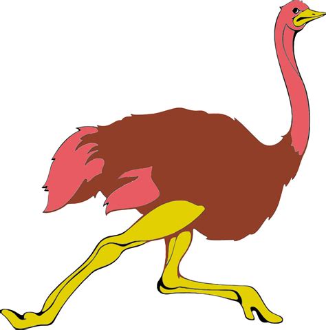 The clip art image is transparent background and png format which can be easily used for any free creative project. Gambar Burung Unta Kartun - Gambar Kartun