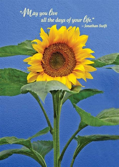 Maybe you would like to learn more about one of these? sunflower birthday card - The Irish Card Shop sunflower birthday card