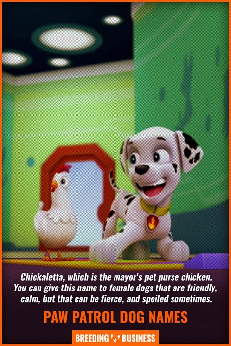 120 Paw Patrol Dog Names Inspired By Chase And Ryders Crew — Breeding