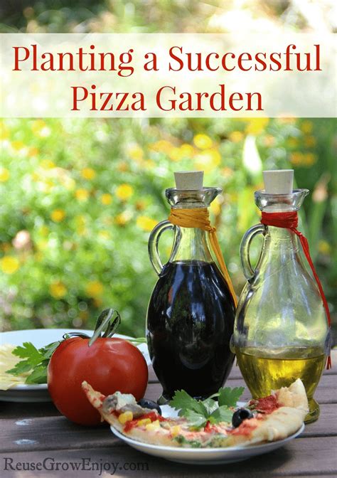 Planting A Successful Pizza Garden Reuse Grow Enjoy