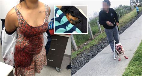 Woman claims dog mauled to death by another canine