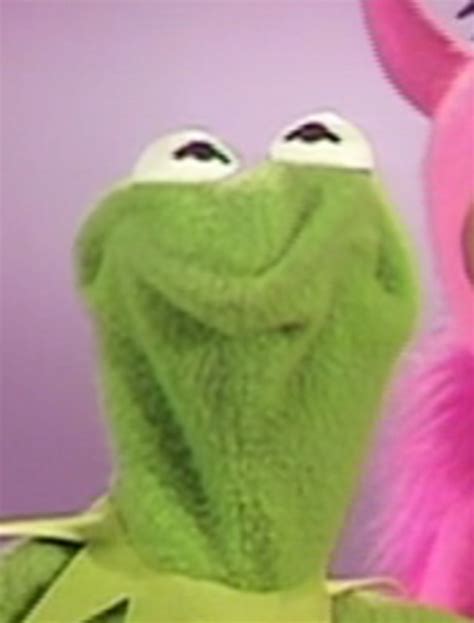 Kermit The Frog Funny Profile Pic Pinterest Kermit The Frog