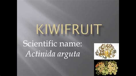 Adw doesn't cover all species in the world, nor does it include all the latest scientific information about organisms we describe. Pronunciation, Picture and Scientific name of fruit ...