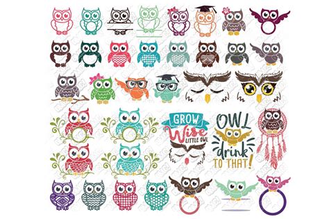 Owl Svg Bundle In Svgdxfepspng Ohmycuttables