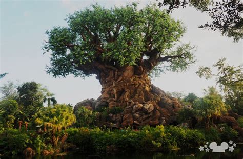 The Best Photography Spots In Walt Disney World