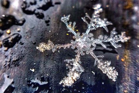 Photos Intricate Delicate Stunning Snowflakes Up Close Cnn