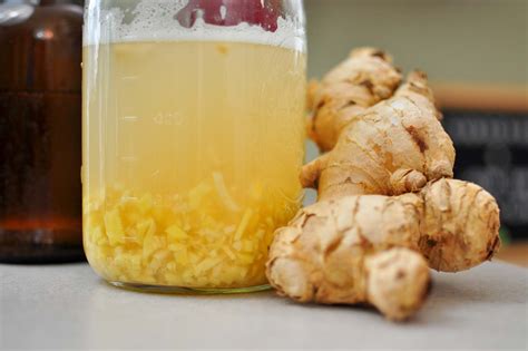 How To Make A Ginger Bug For Homemade Soda The Fermentation Adventure