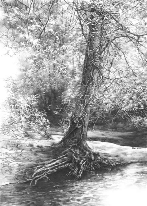 Forest Interior Inspired By Ivan Shishkin Works Pencil Drawing 50x70