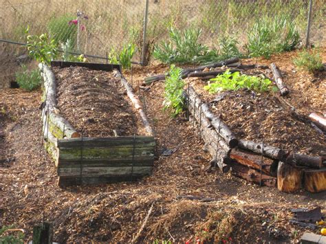 Another positive thing about raised garden beds i go through the process of building raised garden beds and the challenges in the video just below. Low Cost Vegetable Garden: Garden bed construction