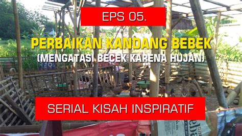 Makanan yg harus dihindari agar miss v tidak becek setelah anda meraih penjelasan mengenai penyebab vaginal area becek, kini saatnya kamu mengetahui cara mengatasi skip v agar tidak becek. BETERNAK BEBEK PETELUR - PERBAIKAN KANDANG BEBEK MENGATASI ...