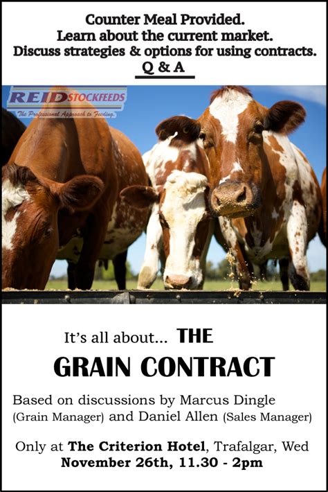 Strategies For Purchasing Grain Contracts Reid Stockfeeds