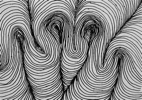 Difference Between Curvilinear And Contour Lines In Art Twistedhooli