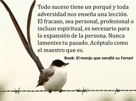 Recientemente terminé de leer un libro que, a decir verdad, me pareció interesante después de leer su título: Piensalibre y positivo: Frases de "El monje que vendió su Ferrari" de Robin S. Sharma