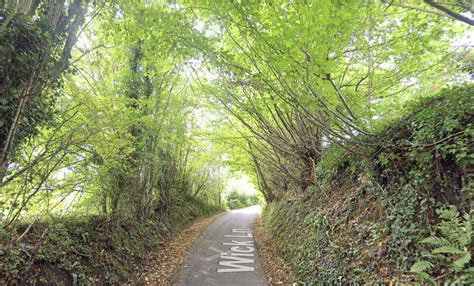 Man in his 30s dies after truck crashes into tree on Somerset country