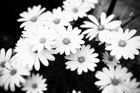 A collection of the top 34 aesthetic black and white wallpapers and backgrounds available for download for free. 49+ Aesthetic Tumblr backgrounds Black ·① Download free ...