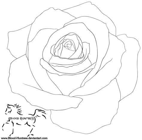 Png Rose Outline Transparent Rose Outlinepng Images Pluspng