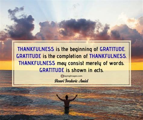 30 Gratitude Quotes To Inspire You To Hope And Appreciate