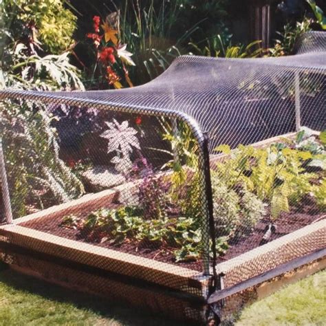 Maybe you would like to learn more about one of these? Bird Netting
