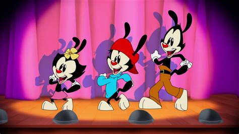 Top 999 Animaniacs Wallpaper Full Hd 4k Free To Use