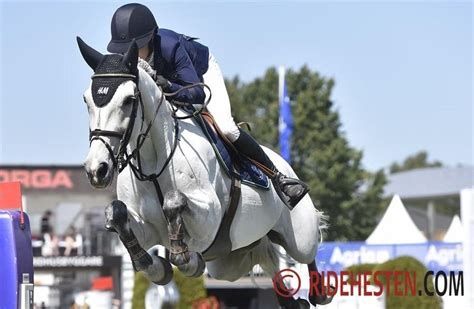 We did not find results for: Malin Baryard: H&M Second Chance er solgt - Ridehesten.com