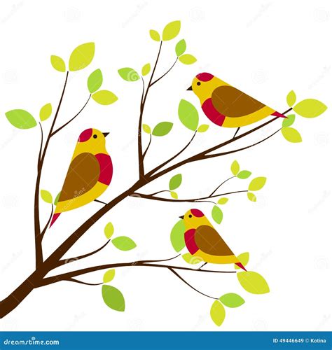 Birds Sitting On Branches Against The Blue Sky Rooks Stock Image