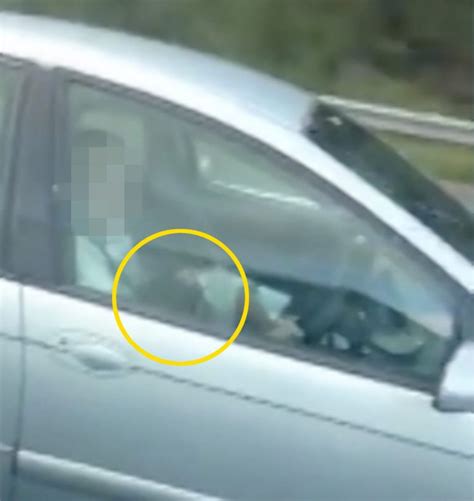 driver caught on camera receiving a blow job from passenger while driving on highway video