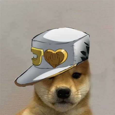Dog With Hat Jojo Jotaro 4 Part Собачки Веселые мемы Мемы