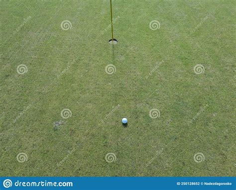 Golf Ball On The Golf Course Green Grass Golf Green Stock Photo