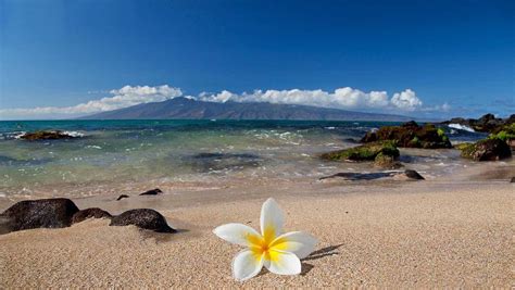 Hawaiian Beach Wallpaper 54 Images